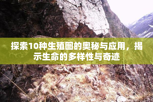 探索10种生殖图的奥秘与应用，揭示生命的多样性与奇迹
