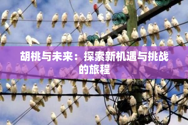 胡桃与未来：探索新机遇与挑战的旅程