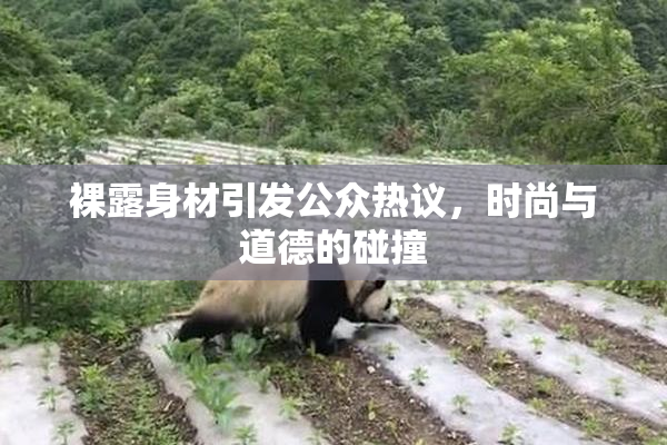 裸露身材引发公众热议，时尚与道德的碰撞