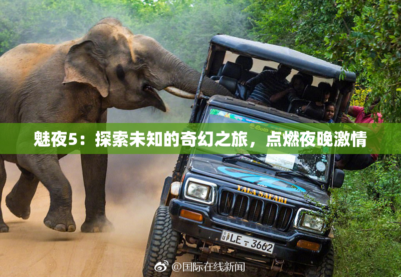 魅夜5：探索未知的奇幻之旅，点燃夜晚激情