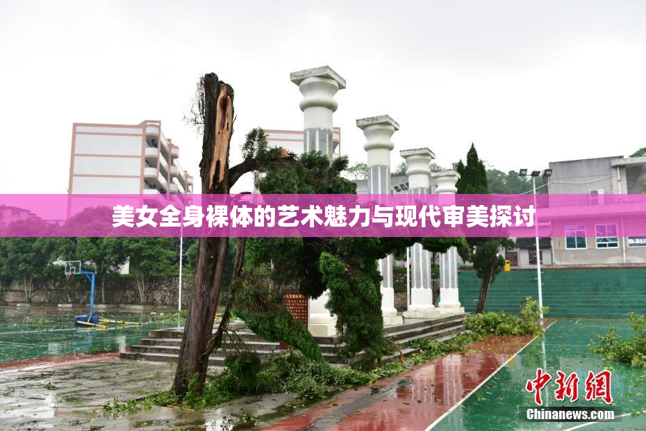 美女全身裸体的艺术魅力与现代审美探讨