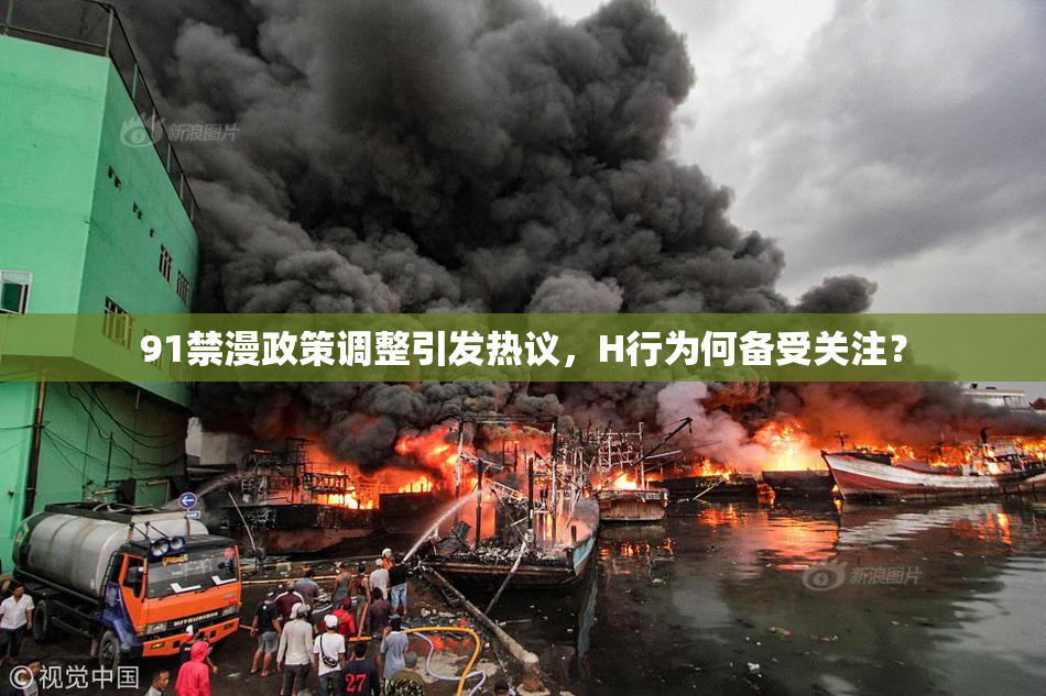 91禁漫政策调整引发热议，H行为何备受关注？