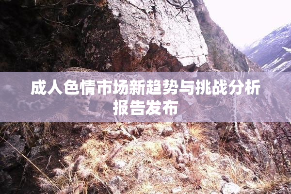 成人色情市场新趋势与挑战分析报告发布