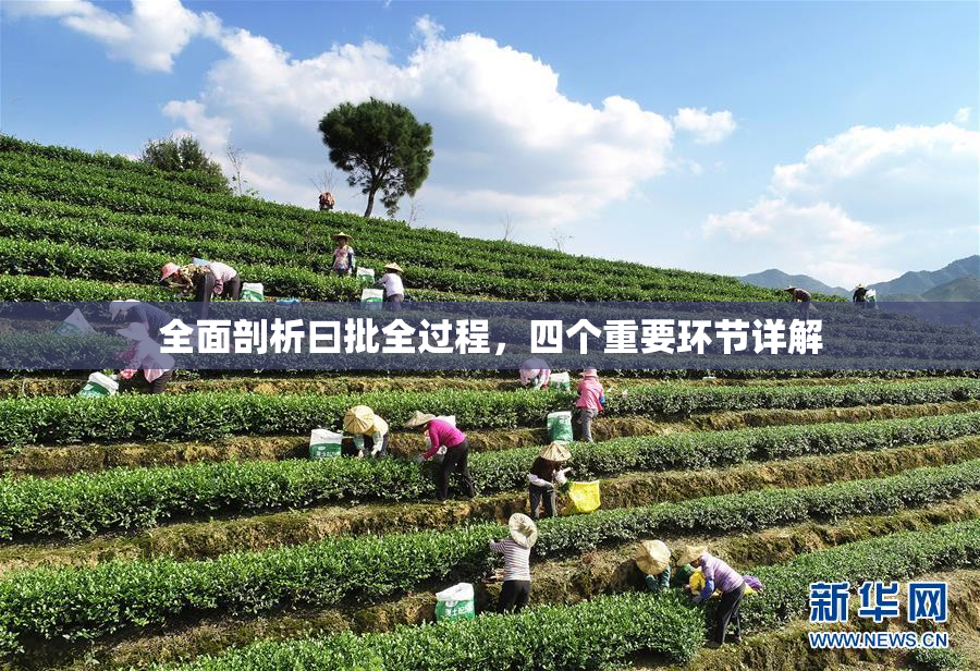 全面剖析曰批全过程，四个重要环节详解