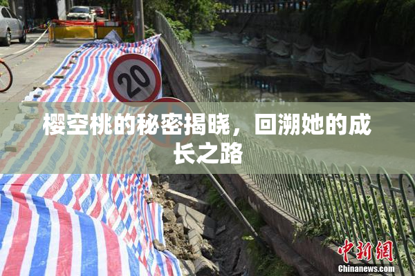 樱空桃的秘密揭晓，回溯她的成长之路