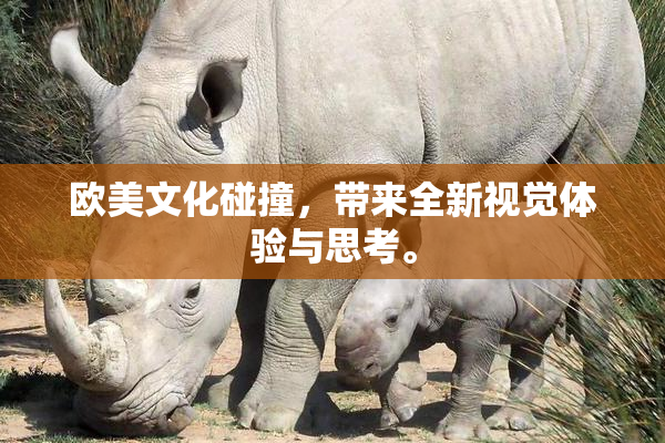 欧美文化碰撞，带来全新视觉体验与思考。