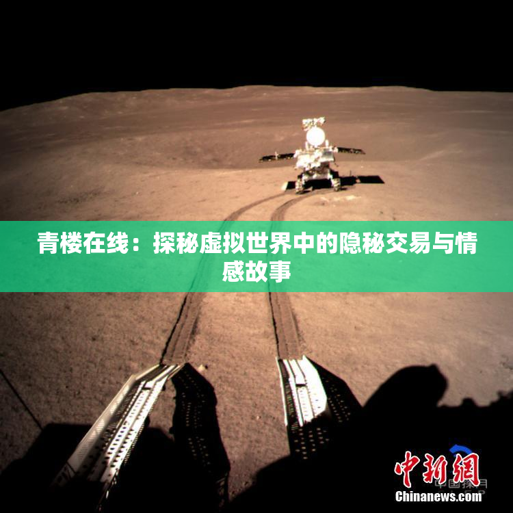 青楼在线：探秘虚拟世界中的隐秘交易与情感故事