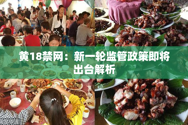 黄18禁网：新一轮监管政策即将出台解析