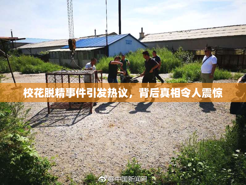 校花脱精事件引发热议，背后真相令人震惊