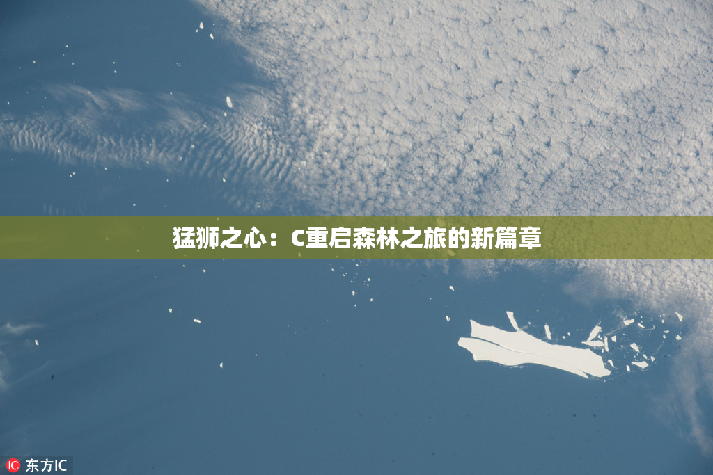 猛狮之心：C重启森林之旅的新篇章