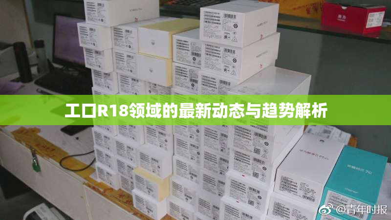 工口R18领域的最新动态与趋势解析