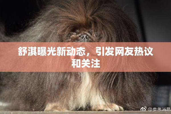 舒淇曝光新动态，引发网友热议和关注