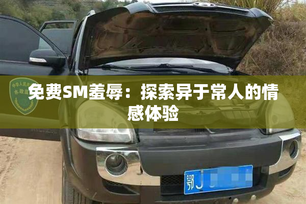 免费SM羞辱：探索异于常人的情感体验