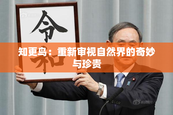 知更鸟：重新审视自然界的奇妙与珍贵