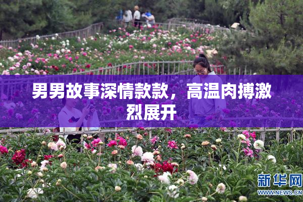 男男故事深情款款，高温肉搏激烈展开
