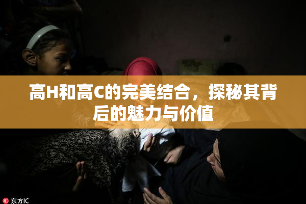 高H和高C的完美结合，探秘其背后的魅力与价值