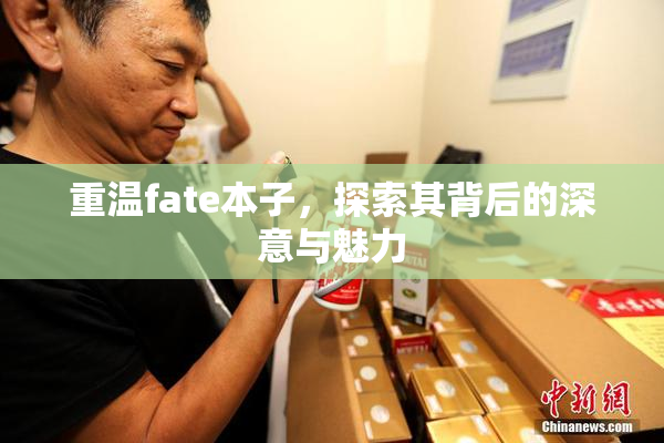 重温fate本子，探索其背后的深意与魅力