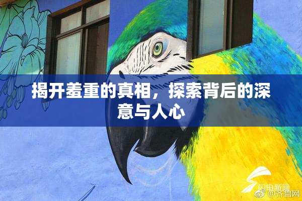 揭开羞重的真相，探索背后的深意与人心