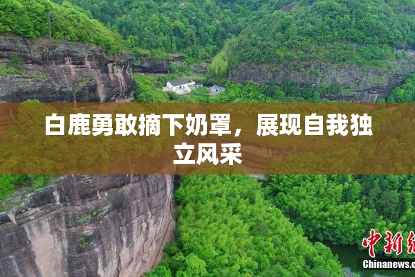 白鹿勇敢摘下奶罩，展现自我独立风采