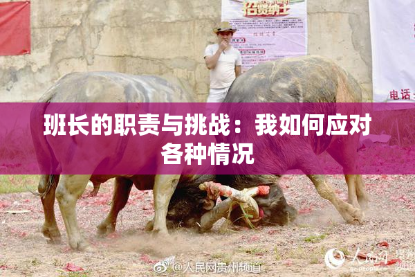 班长的职责与挑战：我如何应对各种情况