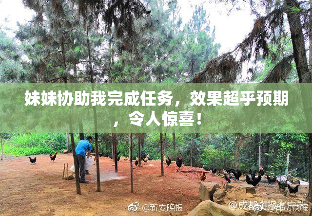 妹妹协助我完成任务，效果超乎预期，令人惊喜！