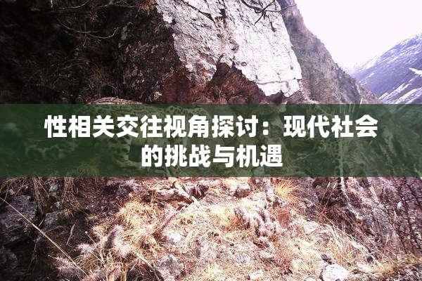 性相关交往视角探讨：现代社会的挑战与机遇