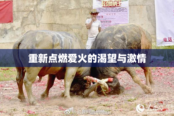 重新点燃爱火的渴望与激情