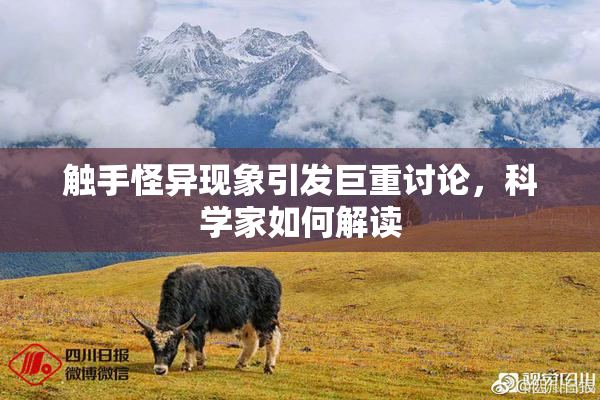 触手怪异现象引发巨重讨论，科学家如何解读