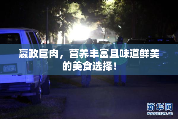 嬴政巨肉，营养丰富且味道鲜美的美食选择！