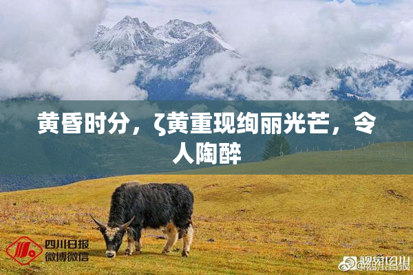 黄昏时分，ζ黄重现绚丽光芒，令人陶醉