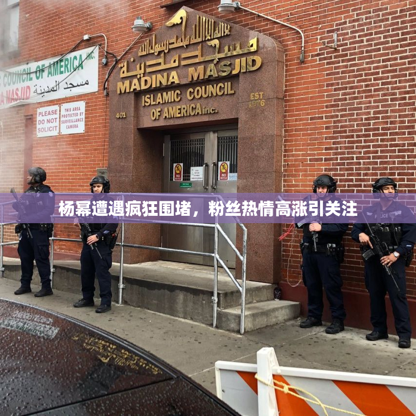 杨幂遭遇疯狂围堵，粉丝热情高涨引关注
