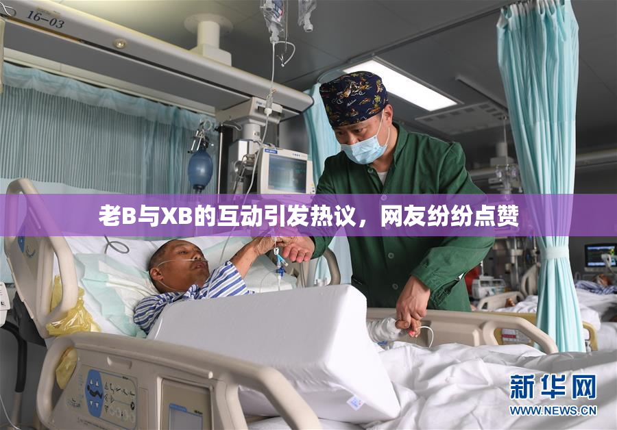 老B与XB的互动引发热议，网友纷纷点赞