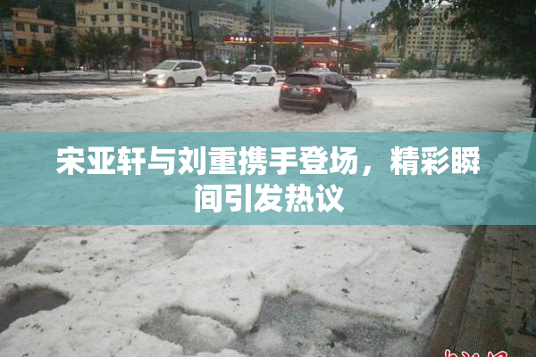 宋亚轩与刘重携手登场，精彩瞬间引发热议