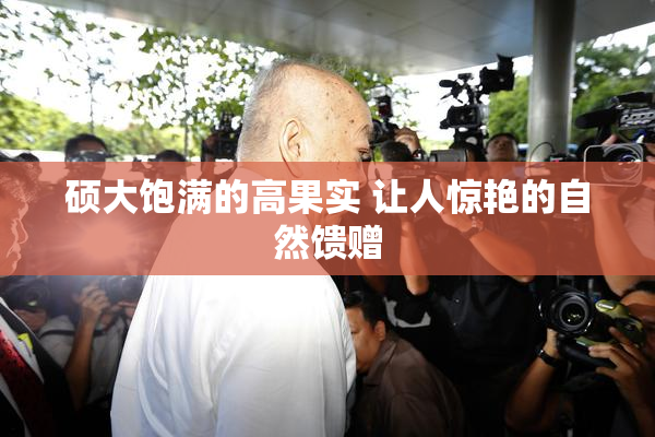 硕大饱满的高果实 让人惊艳的自然馈赠