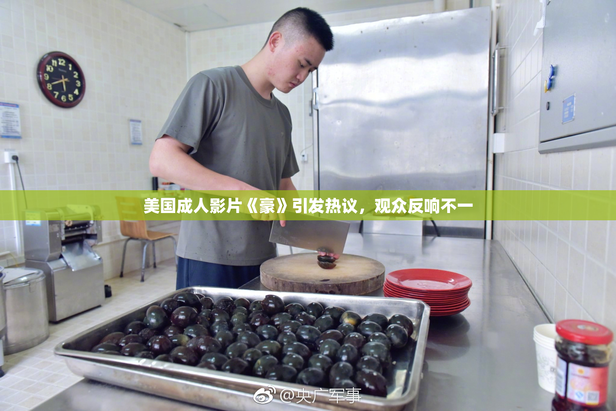 美国成人影片《豪》引发热议，观众反响不一