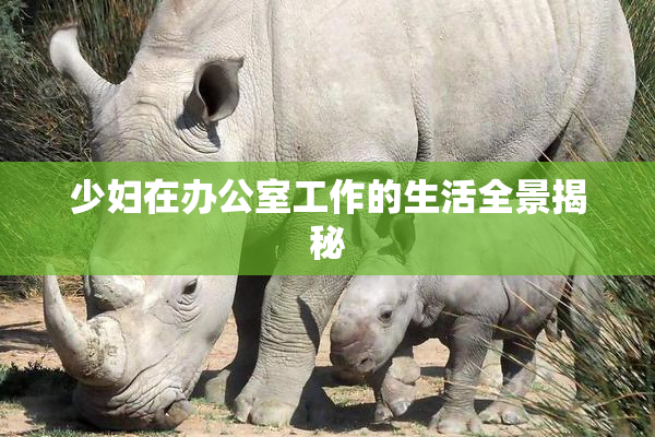 少妇在办公室工作的生活全景揭秘