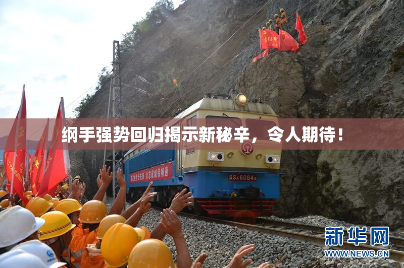 纲手强势回归揭示新秘辛，令人期待！
