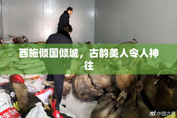 西施倾国倾城，古韵美人令人神往