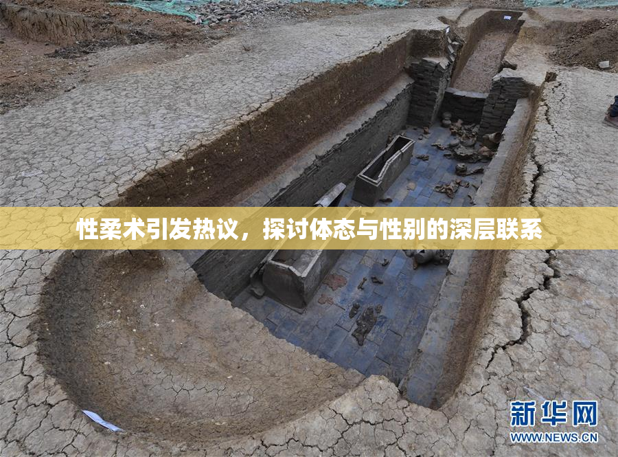 性柔术引发热议，探讨体态与性别的深层联系