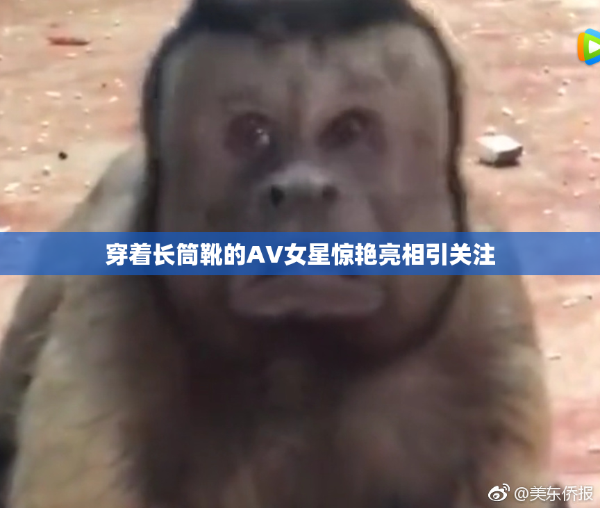 穿着长筒靴的AV女星惊艳亮相引关注