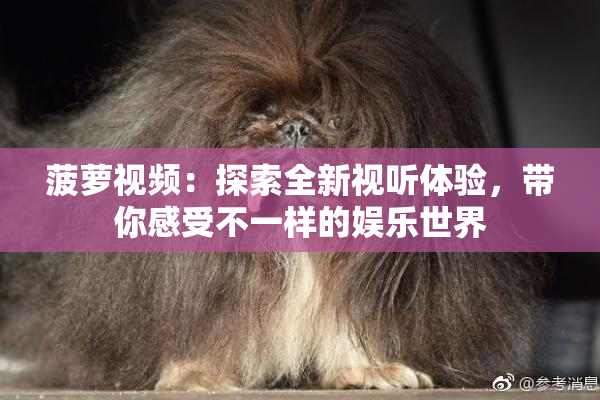 菠萝视频：探索全新视听体验，带你感受不一样的娱乐世界