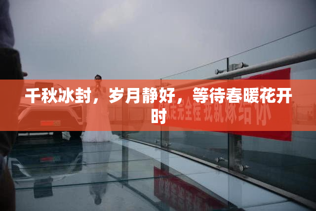 千秋冰封，岁月静好，等待春暖花开时