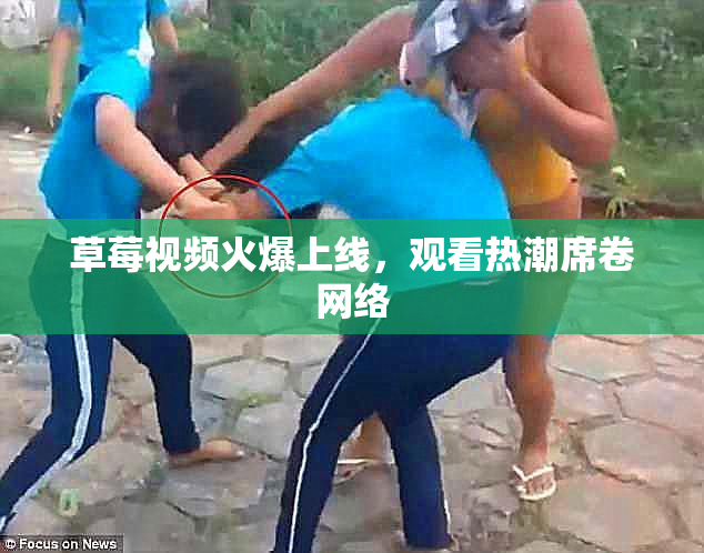 草莓视频火爆上线，观看热潮席卷网络