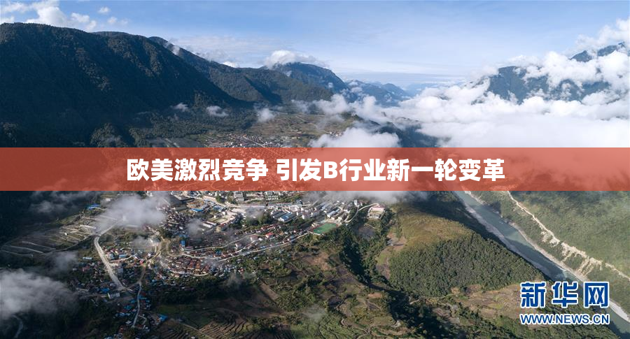 欧美激烈竞争 引发B行业新一轮变革
