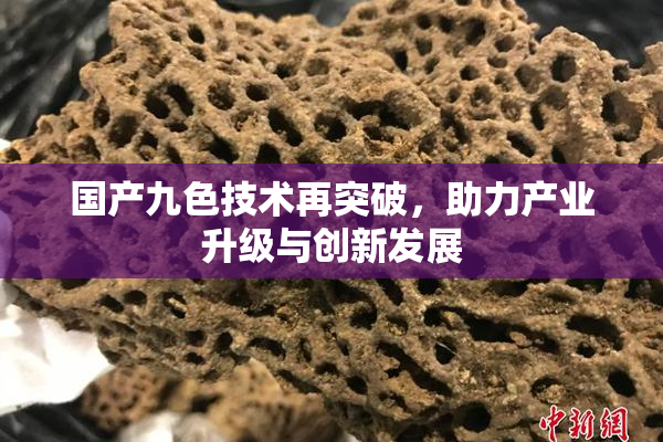 国产九色技术再突破，助力产业升级与创新发展