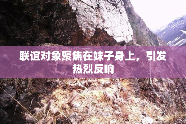 联谊对象聚焦在妹子身上，引发热烈反响