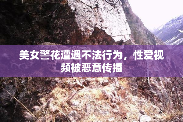 美女警花遭遇不法行为，性爱视频被恶意传播