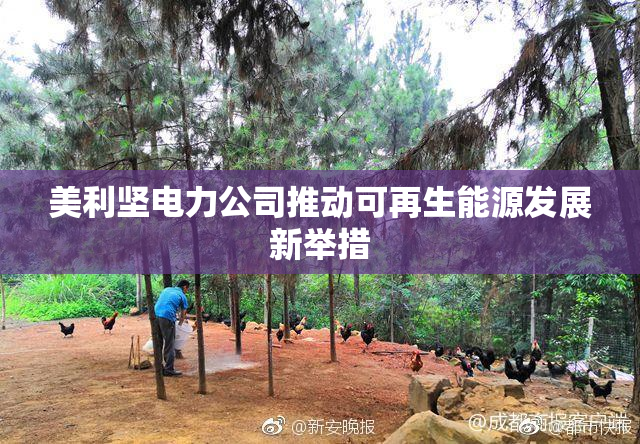 美利坚电力公司推动可再生能源发展新举措
