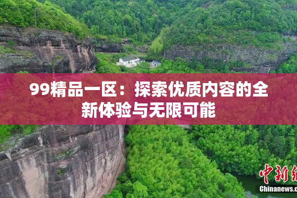 99精品一区：探索优质内容的全新体验与无限可能