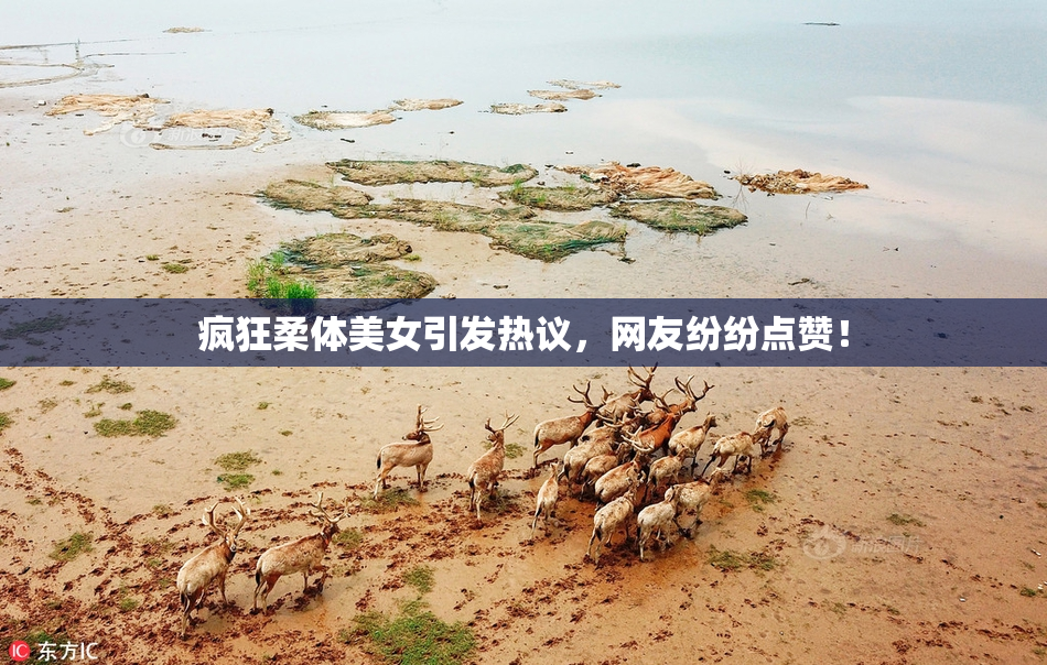 疯狂柔体美女引发热议，网友纷纷点赞！